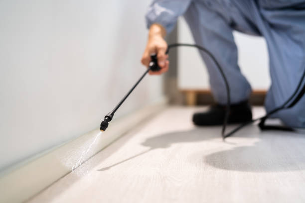 Licensed Pest Control service in Cecilia, LA - Show Me Pest Control