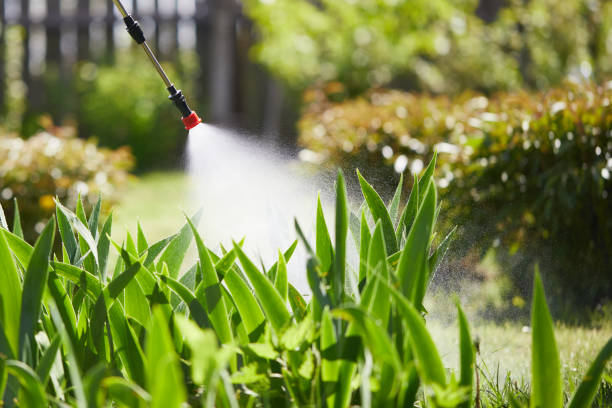 24/7 Emergency Mosquito Control experts in Cecilia, LA